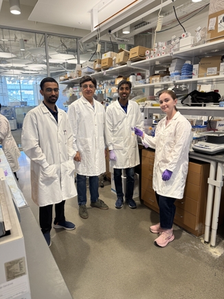 Investigadores/as de OHSU desarrollan prometedor fármaco para cáncer de mama agresivo