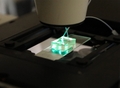 Artificial blood vessels