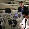 OHSU es parte de iniciativa basada en el Reino Unido para transformar el modelado de enfermedades humanas