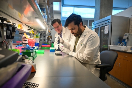 20250211 Pancreatic cancer research - Fischer - Mira 2