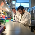 20250211 Pancreatic cancer research - Fischer - Mira 2