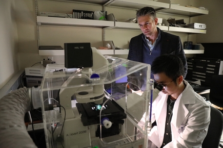 Lab-grown artificial blood vessels