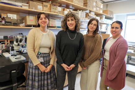 Investigadores identifican un sensor renal que ayuda a controlar el equilibrio de líquidos