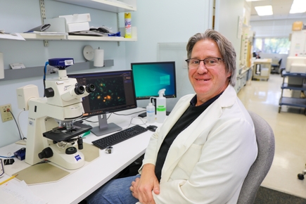 Study implicates enzyme in neurodegenerative conditions