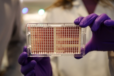 OHSU researchers find breast cancer drug boosts leukemia treatment