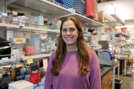 Melissa Stewart, Ph.D. (OHSU)