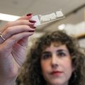 Researchers identify kidney sensor that helps control fluid balance