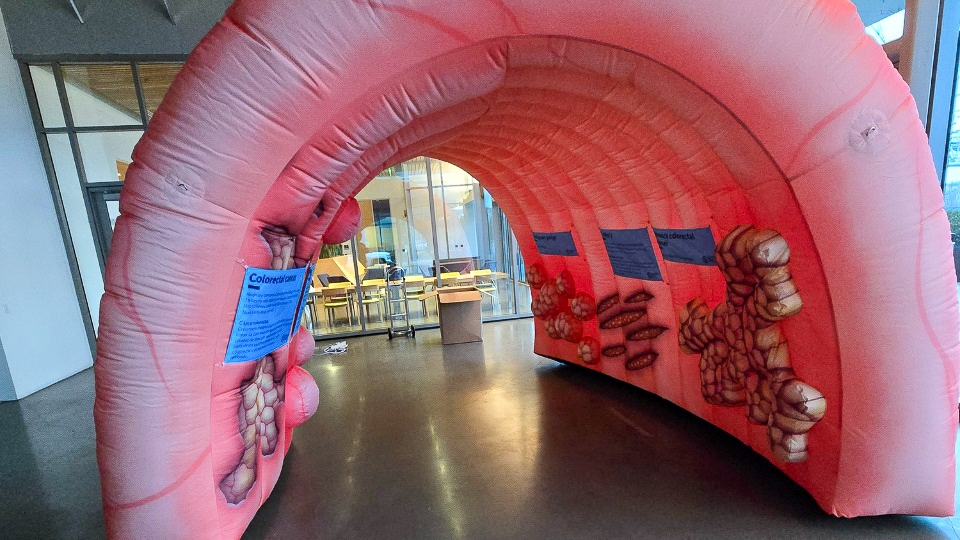 La imagen muestra un colon inflable gigante (rosa, en forma de U, con imágenes de hallazgos en el colon en su interior, por el que se puede caminar) que se utiliza como herramienta de divulgación para persuadir a las personas a hacerse la prueba de detección del cáncer. Melinda Davis, Ph.D., y Jennifer Coury, M.S., son coautoras de un nuevo estudio que muestra que un esfuerzo combinado de enviar pruebas de heces por correo y proporcionar orientación a los pacientes para los procedimientos de seguimiento aumentó significativamente las pruebas de detección del cáncer colorrectal en la zona rural de Oregón. (OHSU)