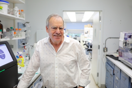 Eliot Spindel, M.D., Ph.D. (OHSU)