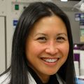 El uso de THC compuesto delta-9-tetrahidrocannibol durante el embarazo pudiera afectar el desarrollo pulmonar fetal y la futura salud respiratoria
