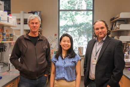 Study finds new targets needed for vaccine to prevent herpesvirus transmission to babies 1
