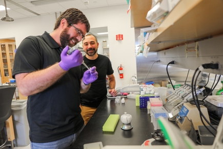 Researchers discover new way to study protein, could lead to new treatments for immune system diseases