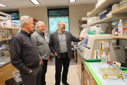 La investigación de Klaus Früh