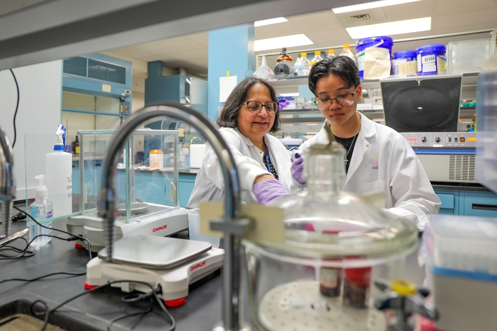 Amala Soumyanath, B.Pharm., Ph.D., guía a la estudiante Ellala Limoico en su laboratorio de OHSU. Limoico es parte del programa de Promoción de Retención de Oportunidades de Avanzamiento del Northern Marianas College, que se asocia con PSU para permitir que los estudiantes de las islas trabajen con investigadores, incluso en OHSU. (OHSU/Christine Torres Hicks)