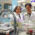Los estudiantes de las Islas Marianas del Norte adquieren experiencia y descubren la pasión con los proyectos de investigación de OHSU