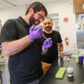 Investigadores descubren nuevo modo de estudiar proteínas que pudiera llevar a nuevos tratamientos para afecciones del sistema inmunitario.