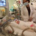 Se identifica en estudio de OHSU nuevo método para mejorar crecimiento y función pulmonares en bebés pretérmino