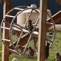 Oregon National Primate Research Center critical to advancing human health