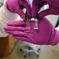 Nueva nanopartícula podría hacer más seguro y eficaz el tratamiento contra el cáncer
