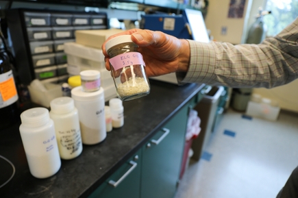 Un estudio muestra resultados prometedores en la lucha contra el parásito que causa la malaria
