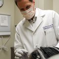 OHSU recibe 7 millones de dólares para estudiar tratamientos de la enfermedad inflamatoria de los senos paranasales 