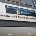 Our opinion: Vital medical breakthroughs still need animal research