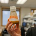 Una célula cerebral que a menudo se pasa por alto podría ayudar a prevenir enfermedades, desarrollar tratamientos