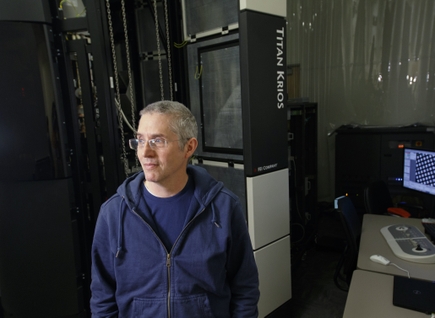 OHSU discovery suggests new avenue for repairing brain function