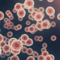 5 laboratorios, 2 años, 1 objetivo: resolver ecuaciones del comportamiento de células cancerosas