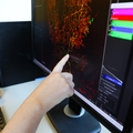 Investigadores de OHSU descubren vínculo entre proteína clave y el desarrollo de las sinapsis cerebrales