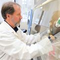 Review suggests ending adult boosters for tetanus, diphtheria