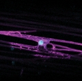 Researchers identify gene implicated in disorders affecting millions