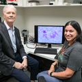 Study suggests long COVID is more prevalent than previously thought