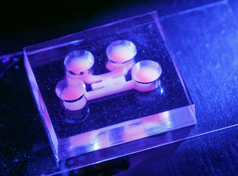 NIH funding for chip model of cancer and more