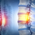 Study suggests new approach for treatment of spinal injuries