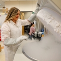 Laboratorio Burwitz - estudio del virus de la hepatitis B