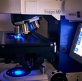 Two scientists honored with grants for innovative research