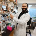 Alireza Karimi lab