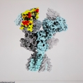 Scientists identify target to treat devastating brain disease