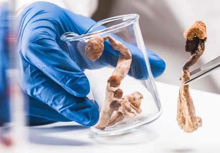 OHSU-led research initiative examines supervised psilocybin