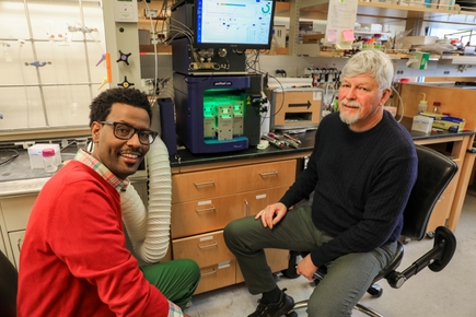 New database may unlock potential of lipids in treating, preventing disease