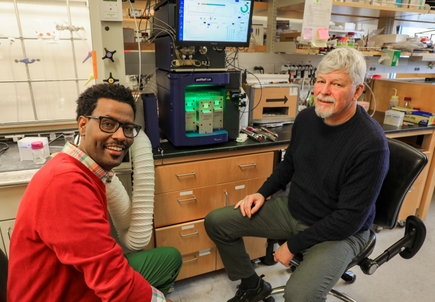 New database may unlock potential of lipids in treating, preventing disease