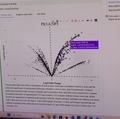 A peek into the lipid database