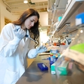 Study finds stress-related nerves may fuel pancreatic cancer growth