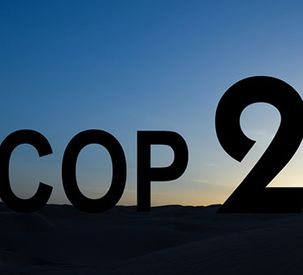 CEJA column, Issue 22, December 2015