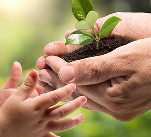 CEJA column, Issue 14, December 2014