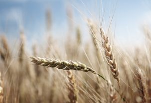 General AGCO/ Investor Relations 