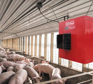 AP Offers New VariFlame™ Heater For Improved Control of Pork Production Environments