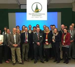 CEJA column, Issue 42, January 2018