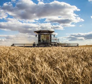AGCO Announces Management Changes